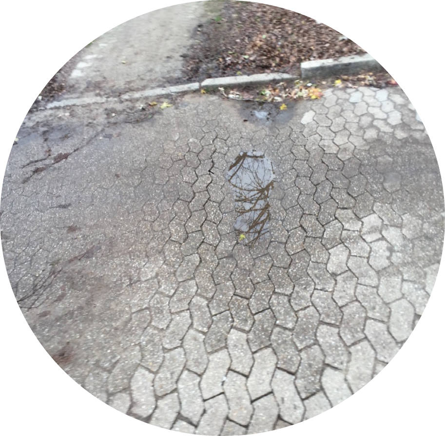 Pflasterbild